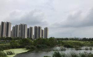 合肥包河區(qū)回應(yīng)16.8萬平米濕地遭損毀：不折不扣完成整改