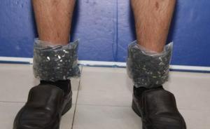 男子穿女士安全裤绑藏走私5290张SD卡，被深圳海关查获