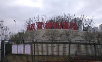 武漢大學中南醫(yī)院院長王行環(huán)兼任雷神山醫(yī)院院長