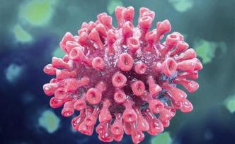 新研究提示腸道是可能的感染途徑，新冠病毒受體或具雙重作用