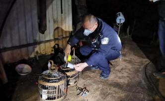 ?嚴打涉野生動物違法犯罪，云南森林公安立刑事案25起