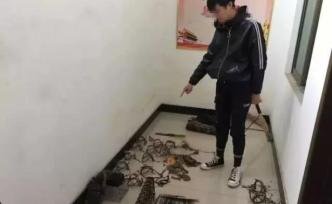 這個時候還頂風(fēng)作案！非法捕獵野生動物，抓！