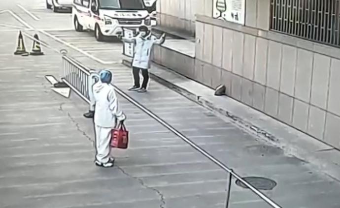 相聚1分鐘,醫(yī)生夫婦“隔空擁抱”