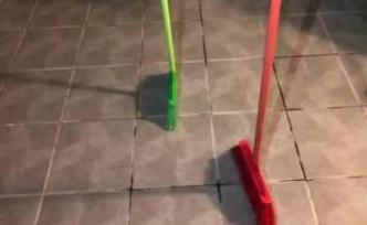 2月10日是一年唯一能“立扫帚”的一天？美航天局出面辟谣