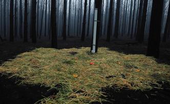 降雨终结澳大利亚林火危机，重灾区新南威尔士情况被控制