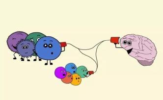 新冠肺炎是“自限性疾病”，為什么會(huì)死那么多人？