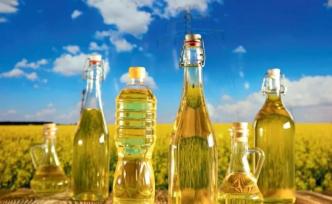 菜籽油為何沒有那么香了？