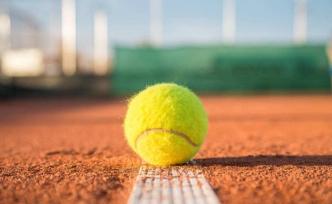 中國男網(wǎng)因疫情錯(cuò)過戴維斯杯，教練組長：健康肯定第一位