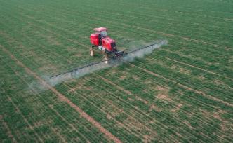 河南溫縣：雨水節(jié)氣農(nóng)事忙