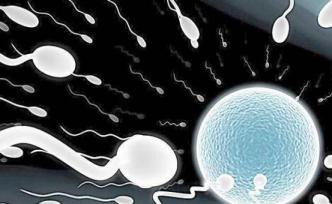 身正不怕尾巴斜，哪些坏家伙想要害精子？