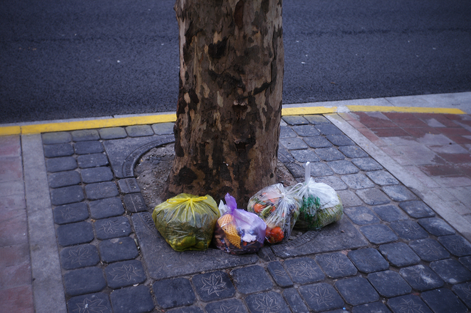 被扔在樹(shù)下的濕垃圾