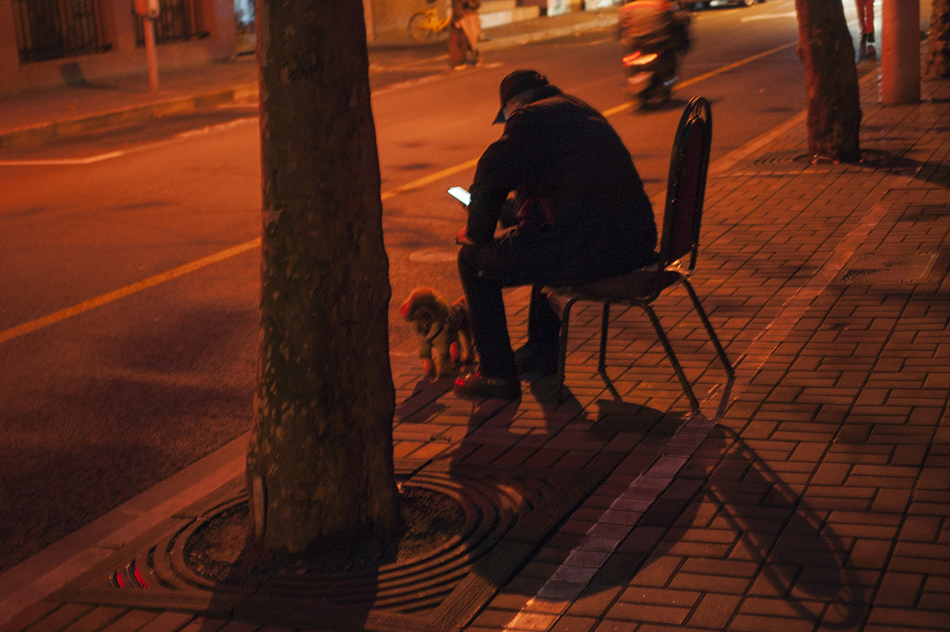 夜間的停車管理員與狗