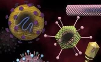 看不见的病毒最初是如何被人类发现的？科学家花了整整41年