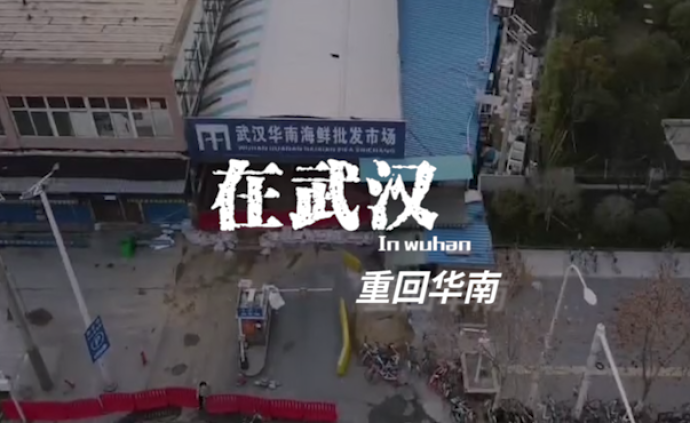 在武汉丨重回华南海鲜市场