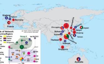 新冠基因組變異分析不支持華南海鮮市場(chǎng)是源頭，零號(hào)病人待解