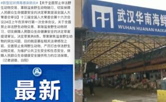 禁止非法野生動物交易決定草案提請審議
