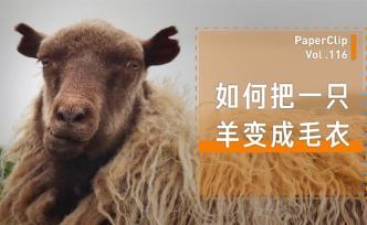 如何把一只羊變成毛衣