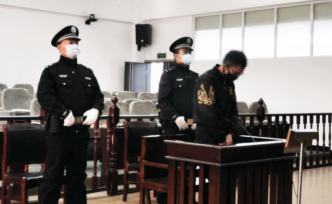 云南宣判兩起非法狩獵案：有被告非法捕食白腹錦雞獲刑一年半