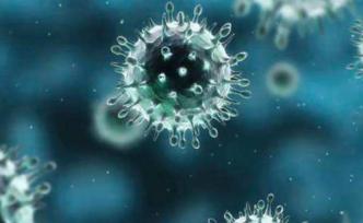 自然子刊回顧新冠病毒診斷攻關(guān)：如何開發(fā)快速可靠診斷方法？