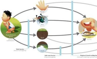 糞便里有病毒，是吃進去的嗎？專家：7個要點提防