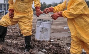 河北一企業(yè)年處理萬(wàn)噸化學(xué)危廢冒充燃料油，轉(zhuǎn)售給近千家用戶