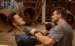 人民日?qǐng)?bào)評(píng)論：為什么是《戰(zhàn)狼2》成就了國(guó)產(chǎn)電影票房新高？