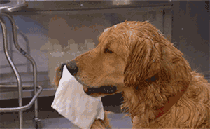 邳州一高档小区“临时用电”5年，开发商与供电公司各执一词