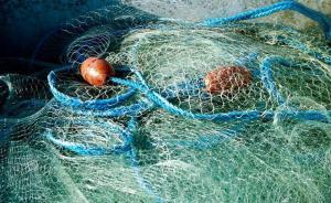 CS战队2名成员不服管理被杀害，沈阳警方抓获7名嫌犯