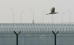 武汉市汉南区两名干部被查：大领导落马吓得小领导自首