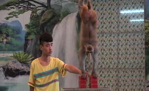 廣州動(dòng)物園叫停馬戲團(tuán)表演后的“論爭(zhēng)”