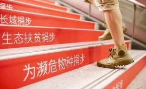 99公益日3天籌款13億，這些錢流向何方，怎么花？