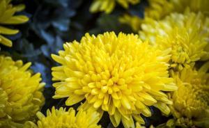 辽宁大学历史学院教授、博士生导师权赫秀病逝，享年55岁