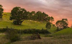 暖聞｜西安老漢荒野中聽(tīng)到呼救，循聲救出落入深井的拾荒人