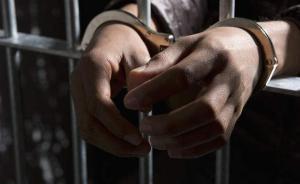 云南省成功將“紅通人員”馬林從沙特引渡回國