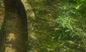 贵州山村老支书30年背5吨炸药，带村民修出200公里水渠