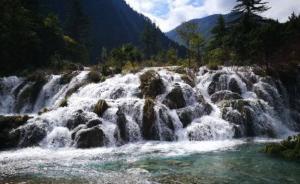 人與生物圈國家委員會組織考察九寨溝：不應(yīng)盲目采用工程修復(fù)