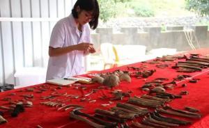 广西灌阳已从井下打捞20例疑似红军遗骸，有被捆绑石头痕迹