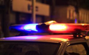 吉林警方侦破制造贩卖枪支案件18起，捣毁5个地下制枪工厂