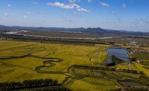 吉林舒兰：丰收在望，遍地闻稻香