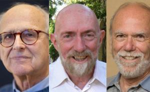 第二屆復(fù)旦中植獎公布，花落美國三位引力波追蹤者