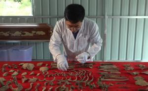 灌阳20具遗骸系红军，被害不满25岁