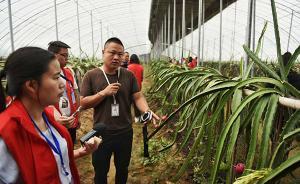 網(wǎng)上看河南③｜鄭州中牟：擬投10億建萬畝“開心農(nóng)場”脫貧