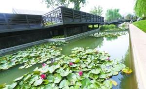 北京700年玉河故道重現(xiàn)“水街穿巷”，此前曾被改為暗溝
