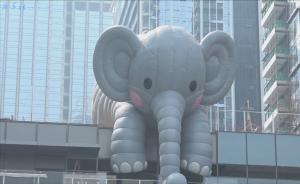 “大黃鴨之父”新作：噴水萌象深圳面世