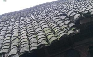 青川5.4級(jí)地震｜大陸地震預(yù)警網(wǎng)提前19秒向廣元市預(yù)警