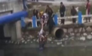 男童落水，對岸蟹老板火速跳水營救