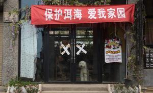 直播录像丨大理不一样的黄金周，游客少了但洱海治污者在坚守