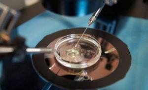 中外科學家發(fā)表新論述，呼吁合理放開人類胚胎基因研究的限制