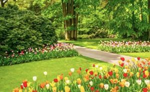 科學(xué)課重回小學(xué)一年級(jí)：屬必修基礎(chǔ)性課程，與語數(shù)同等重要