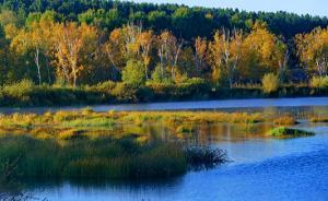 承德等19城入選“國家森林城市”，已有137城獲此稱號